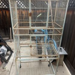 Bird Cage
