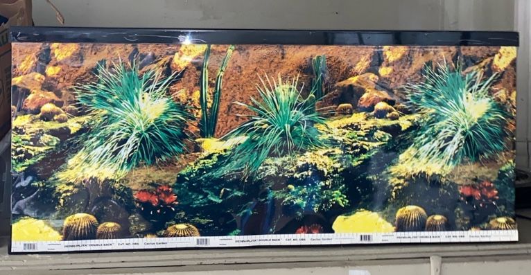 36 x 18 inch  Fish Tank