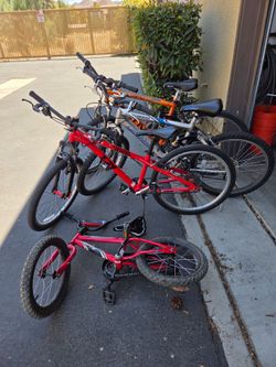 Bike - Male, Female, Adult, Youth, Boy