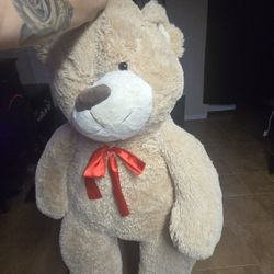 Teddy Bear