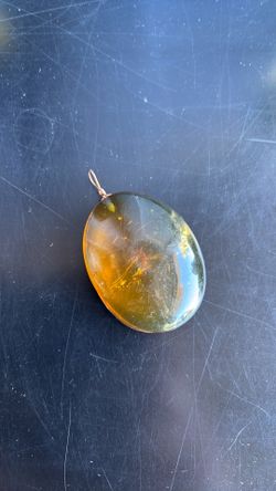 Vintage amber necklace with mosquito inside