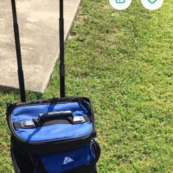 Cool Bag For Picnics 