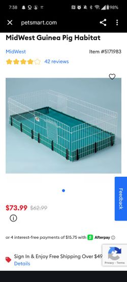 Midwest Guinea Pig Habitat