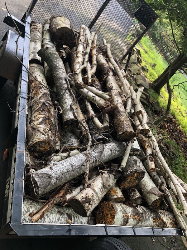 Seasoned Birch Firewood For Sale In Saylorsburg Pa Offerup