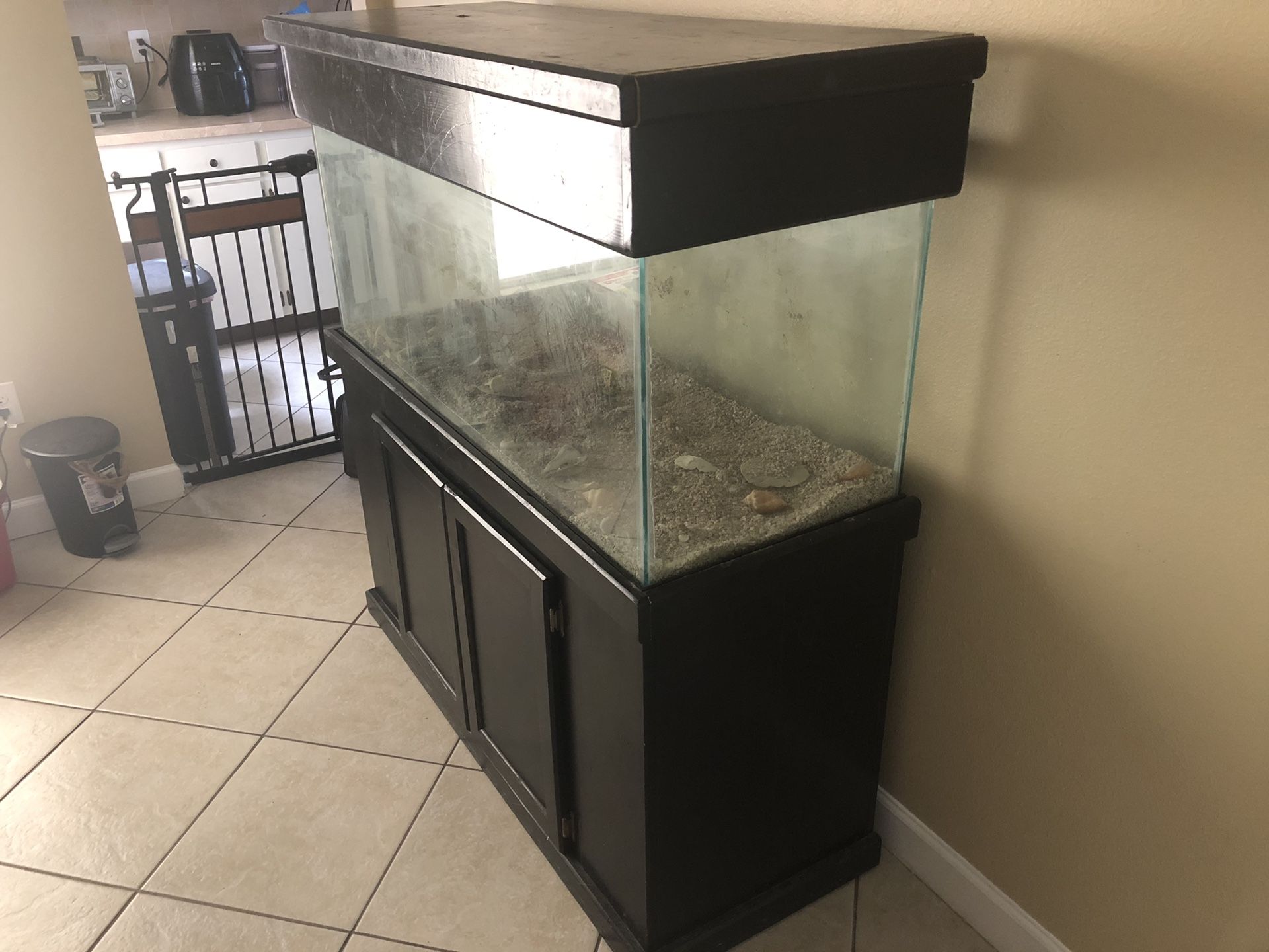 55 gallon Aquarium