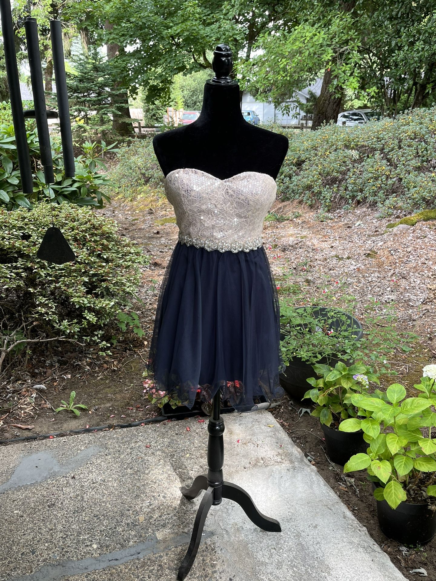 Sparkly Party Dress