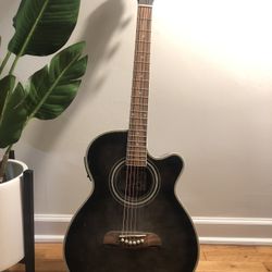 Acoustic/Electric Guitar