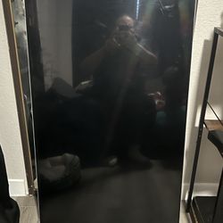 Vizio 48 inch TV (Read Description)