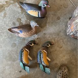 Wood Duck Decoys And 2 Mojos