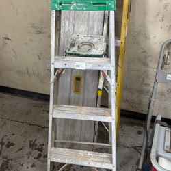 Green Werner Ladder 