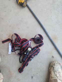 Straps