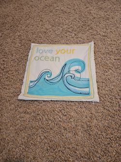 Pottery Barn Pillow Cover