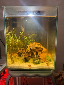 5.8 gallon tank