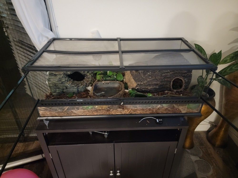 Exo Terra Reptile Tank