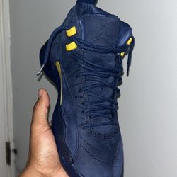 Michigan Jordan 12s