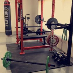 Rogue monster light rack with additional dip bar