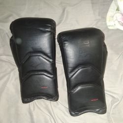 Everlast 2020 Elite Boxing Gloves