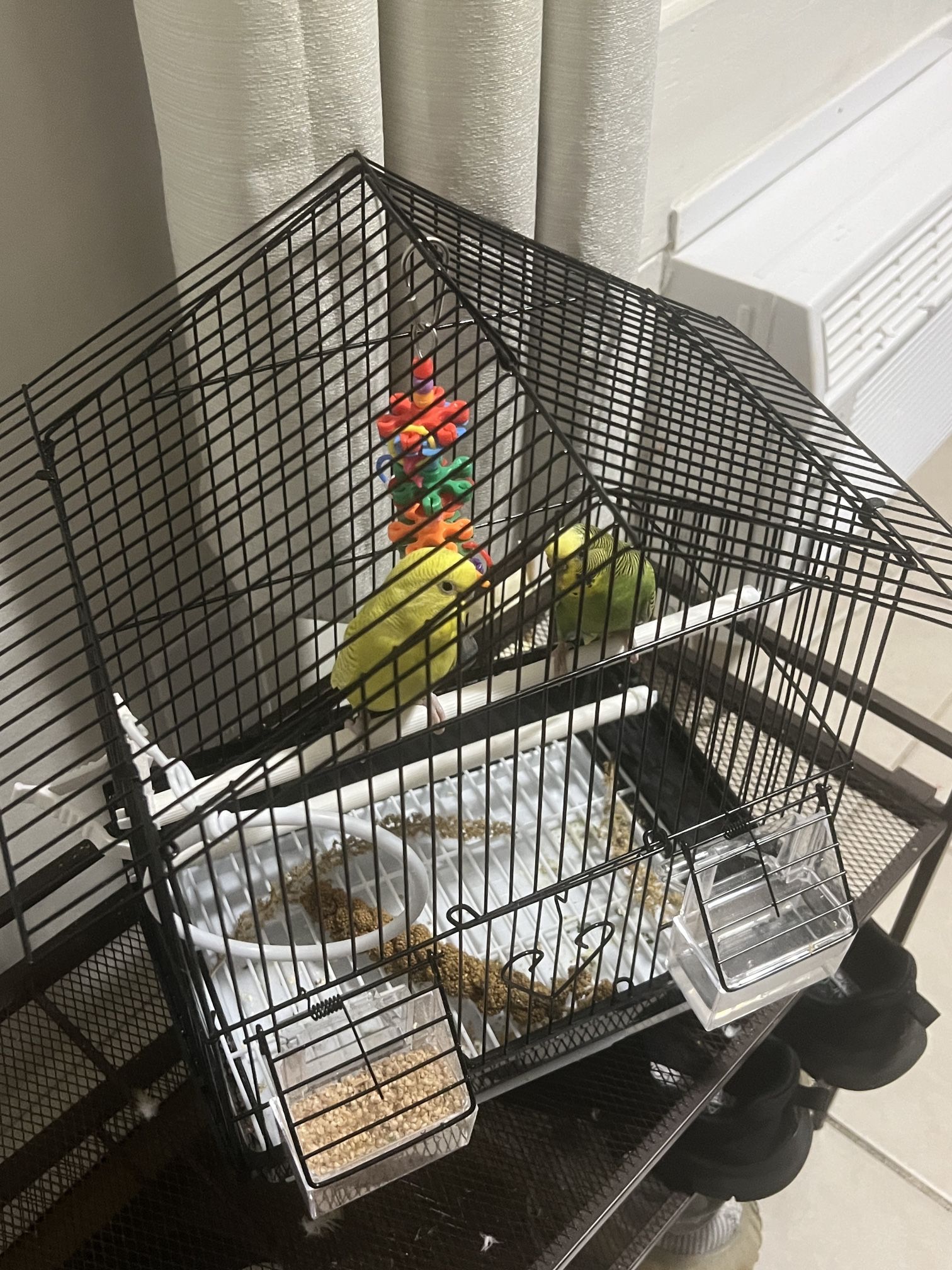 Cage Small