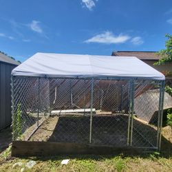 Large Dog Kennel 