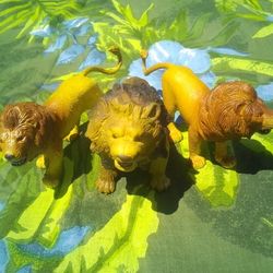 Furious Lions