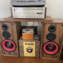 Cerwin Vega 10” Speakers 