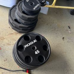 Rogue & Iron Grip Weight 