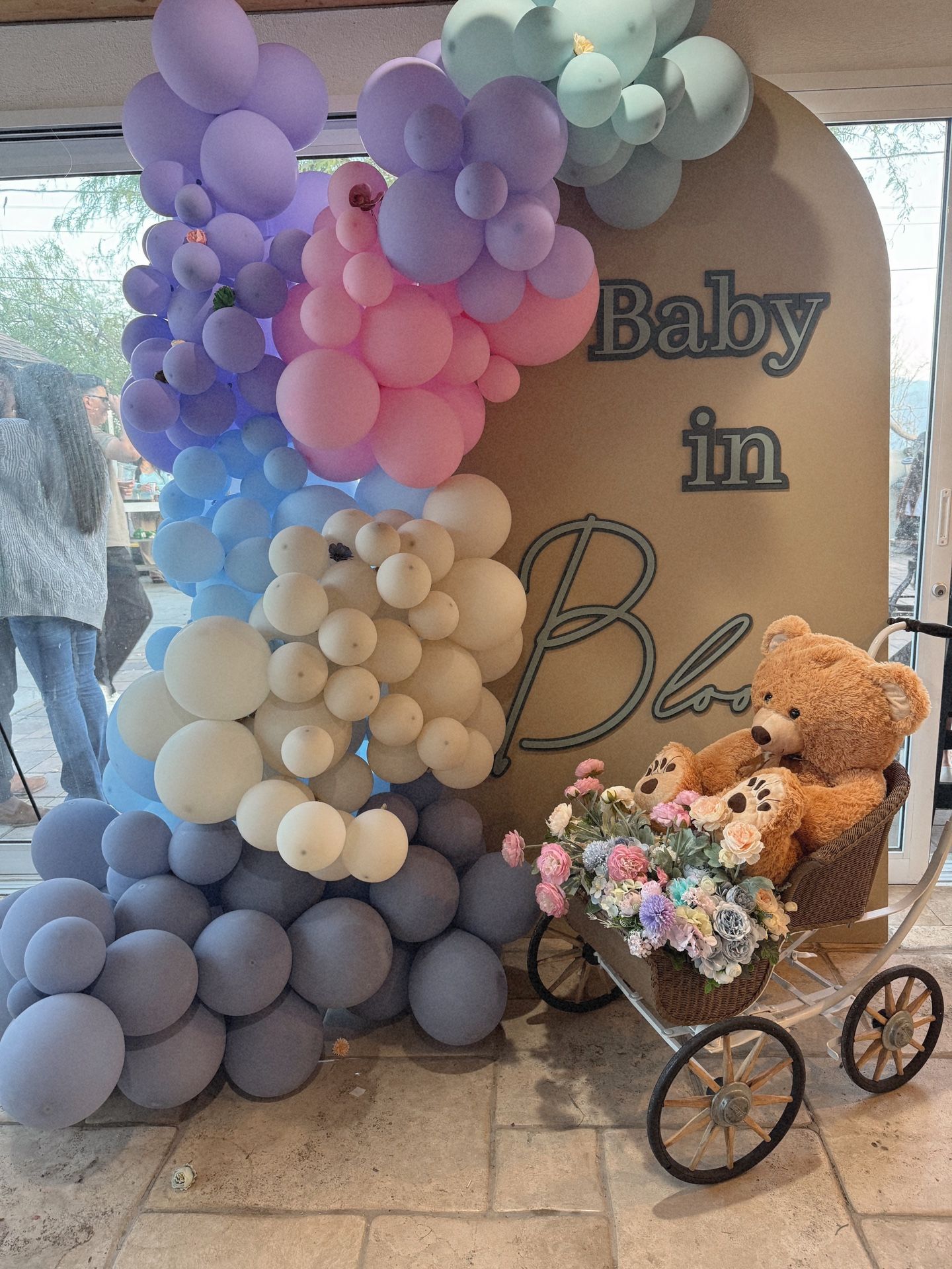 Baby In Bloom Signs/Stroller