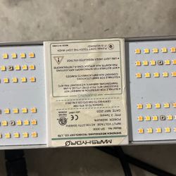 Marshydro SP-300 Light