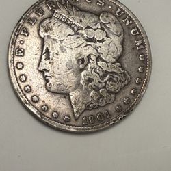 Mint State 1891 Morgan Dollar 