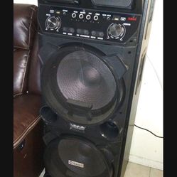 Party Speaker 