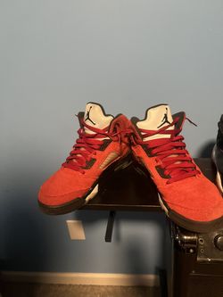 Jordan 5’s Red Bull