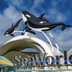 Sea World Tickets 