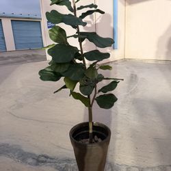 Artificial Fiddle Leaf Fig Tree, 6FT Tall Plants for Living 
