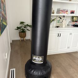 ProBoxing Free Standing Bag 80lbs