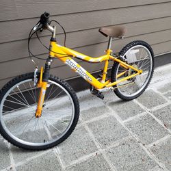 Iron Horse Bike