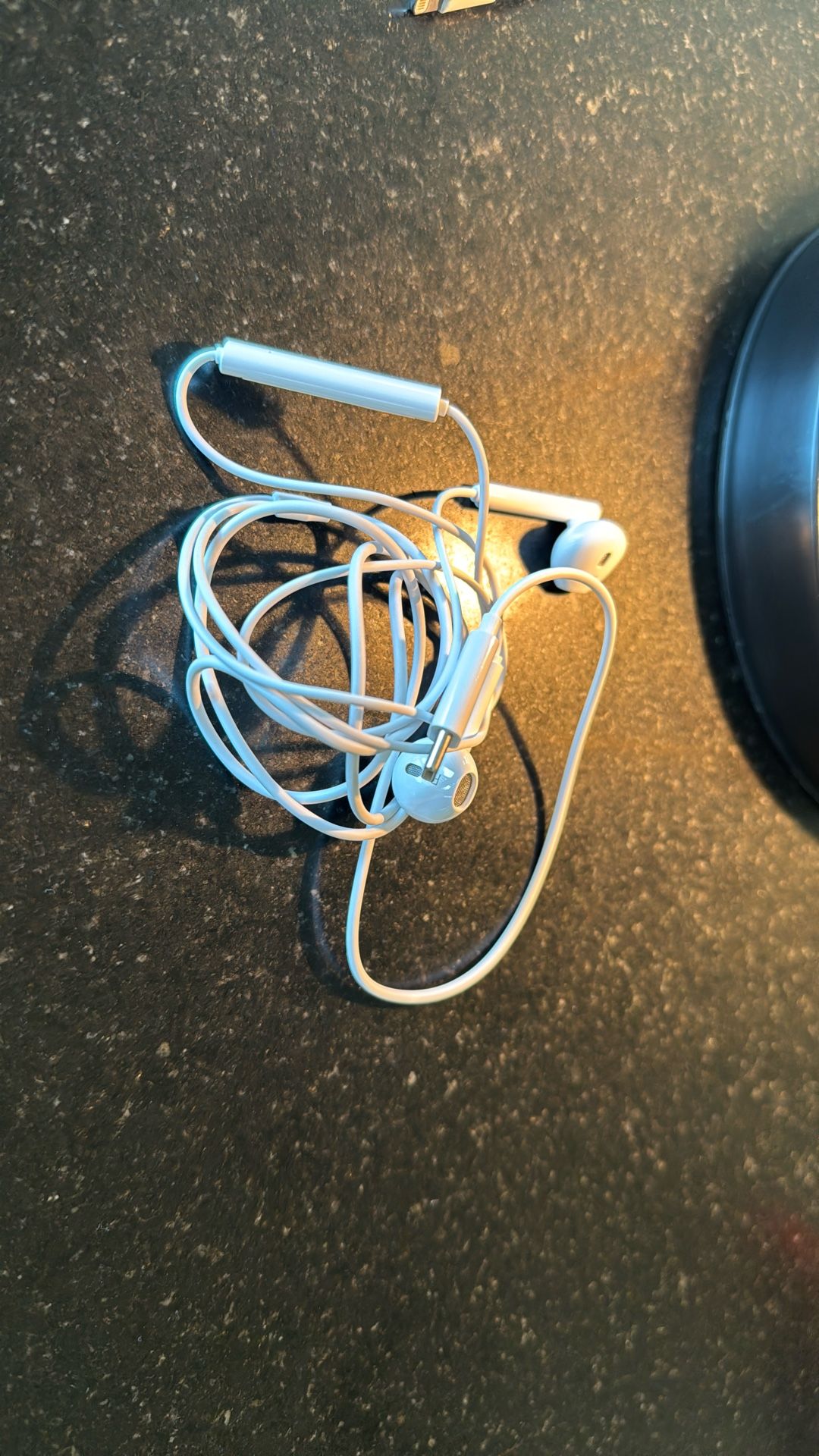 Apple Type C Earbuds New
