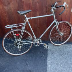 Vintage nishiki hotsell bikes for sale