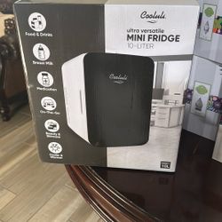 Mini Fridge 