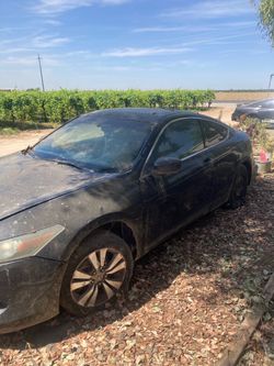 2010 Honda Accord