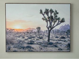 Wall Art -Joshua Tree