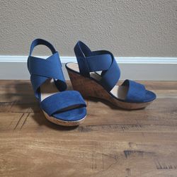American Eagle Size 9 Navy Ryan Heels