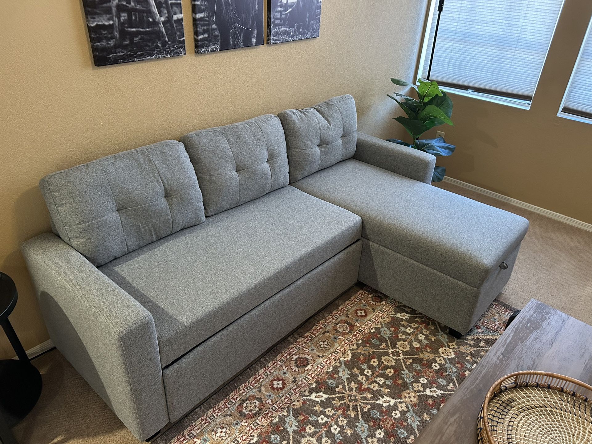 Sectional Sleeper Sofa with Storage
