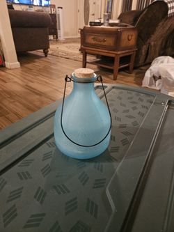 Vintage Blue Glass Bug