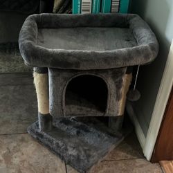 Cat /Scratch And Sleep House