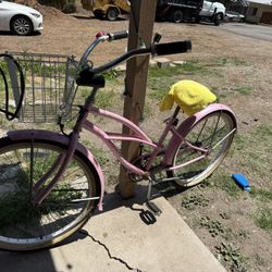 Sun Cruiser Bike 