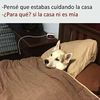miguel