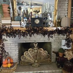 Antique Victorian Fire Place Screen Peacock Brass