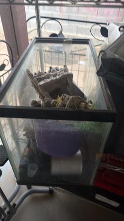 FREE!!!🚨 Fish tank whir accessories