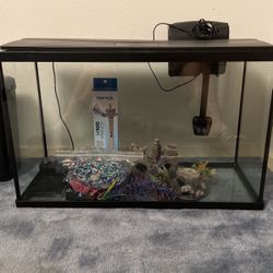 Topfin 29g Tank