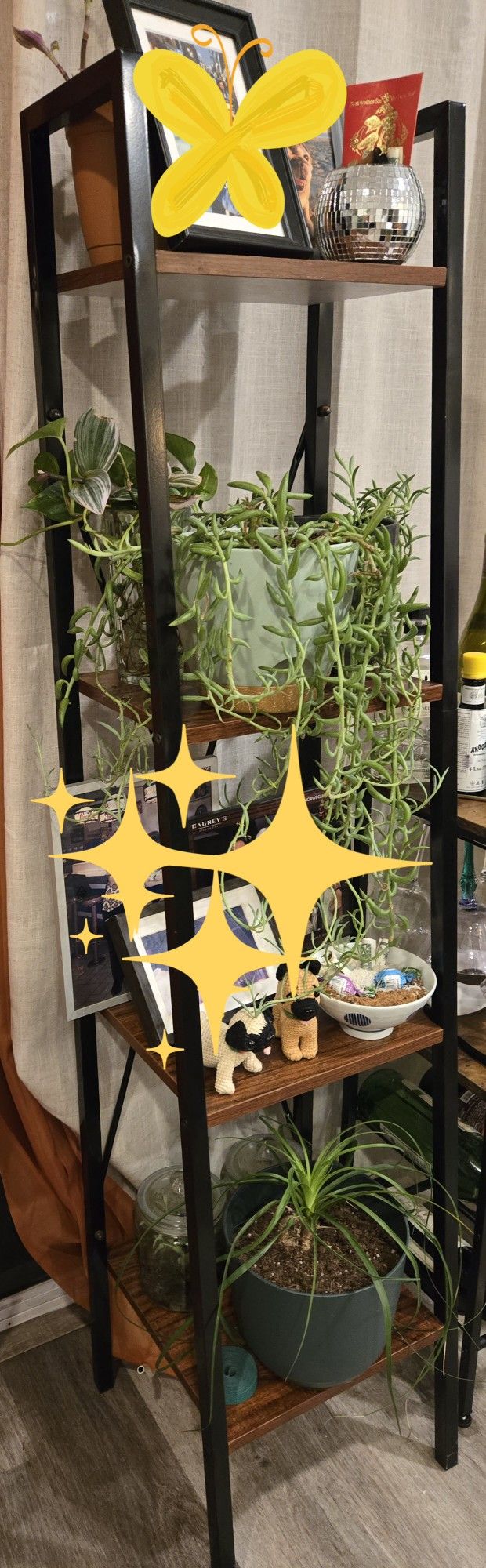 Ladder Shelf Bookcase, 4 Tier Bookshelf